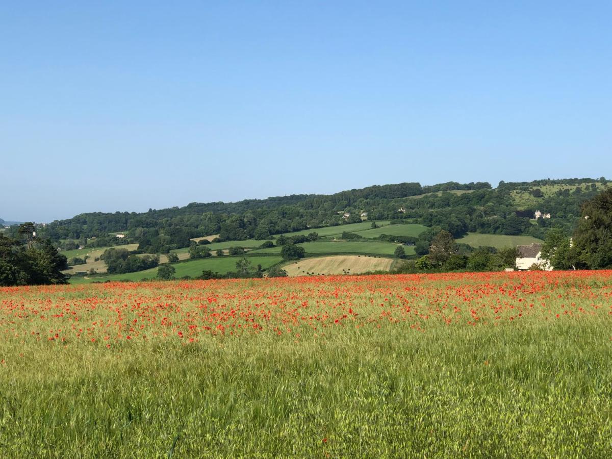 Cotswold Lodge ペインズウィック エクステリア 写真